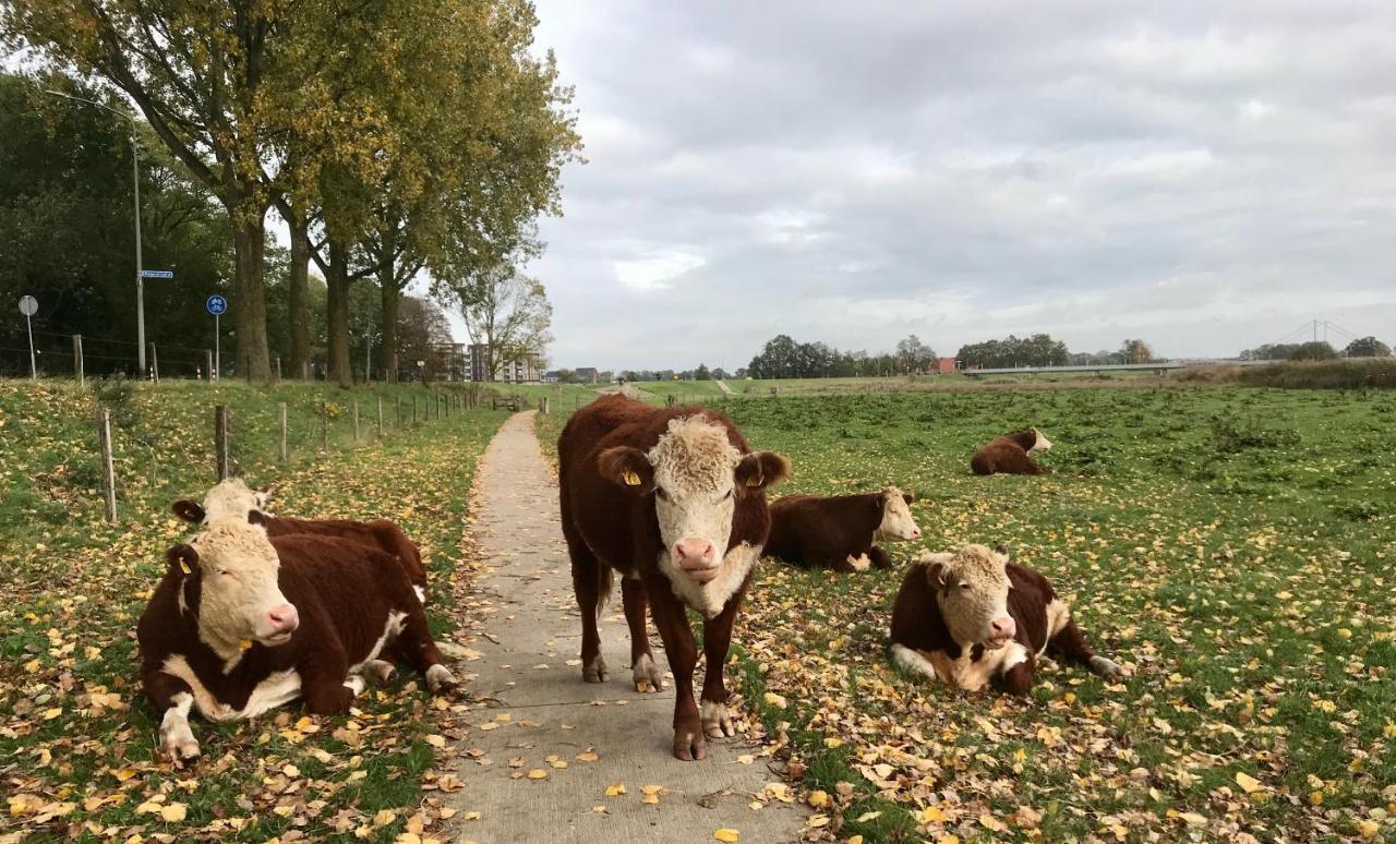 B&B Tussen Vecht En Veer Hardenberg Eksteriør bilde